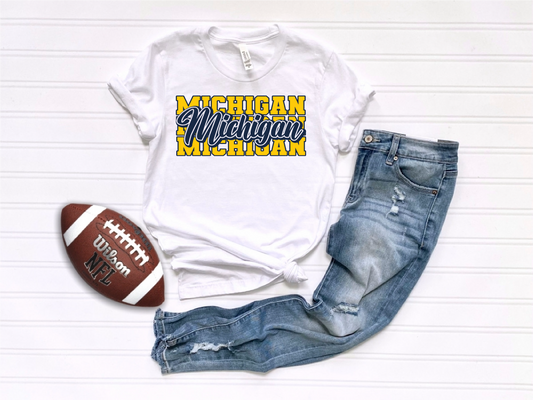 Navy Michigan