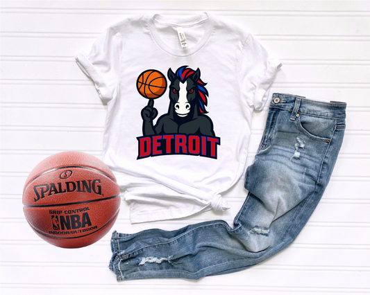 Piston Basketball