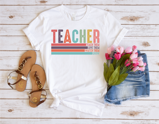 Teacher